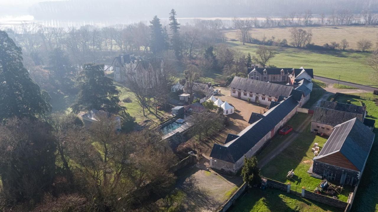 Chateau De Belle Poule Les Ponts-de-Cé Eksteriør billede