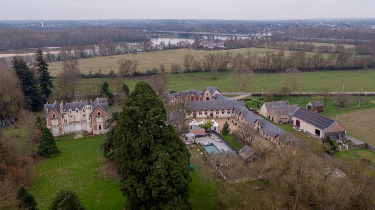 Chateau De Belle Poule Les Ponts-de-Cé Eksteriør billede